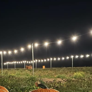 3m Space Festoon - 50m